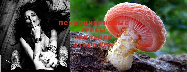 COCAINE Вяземский