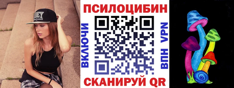 darknet состав  Томилино  Псилоцибиновые грибы Psilocybe 